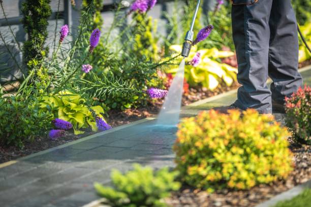 Best Sidewalk and Walkway Cleaning  in Forest Park, IL
