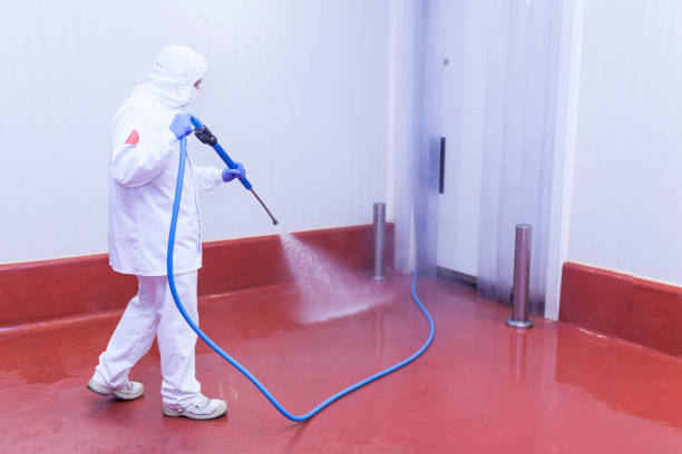 Best Spring Cleaning  in Forest Park, IL