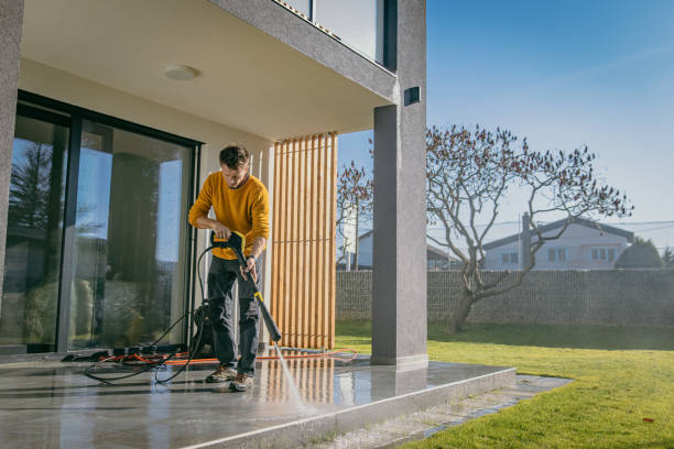 Best Graffiti Removal  in Forest Park, IL