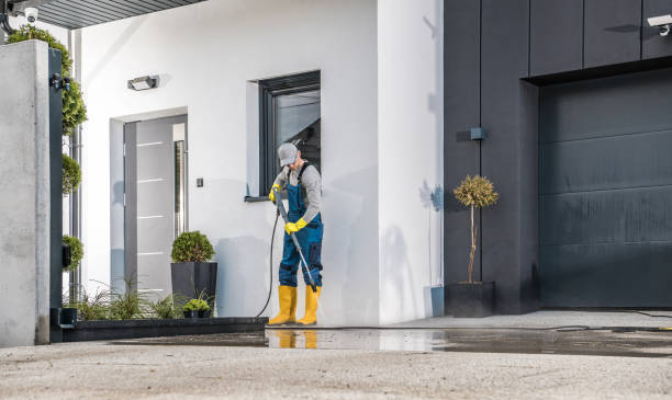 Animal Enclosure Cleaning in Forest Park, IL
